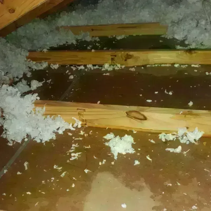 Attic Water Damage in Hanover, IN